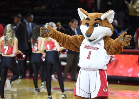 Mascot Brutality: When Fans Take It Too Far